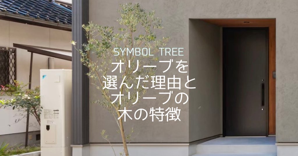 シンボルツリーにオリーブを選んだ理由 オリーブの木の特徴も紹介します Maelog